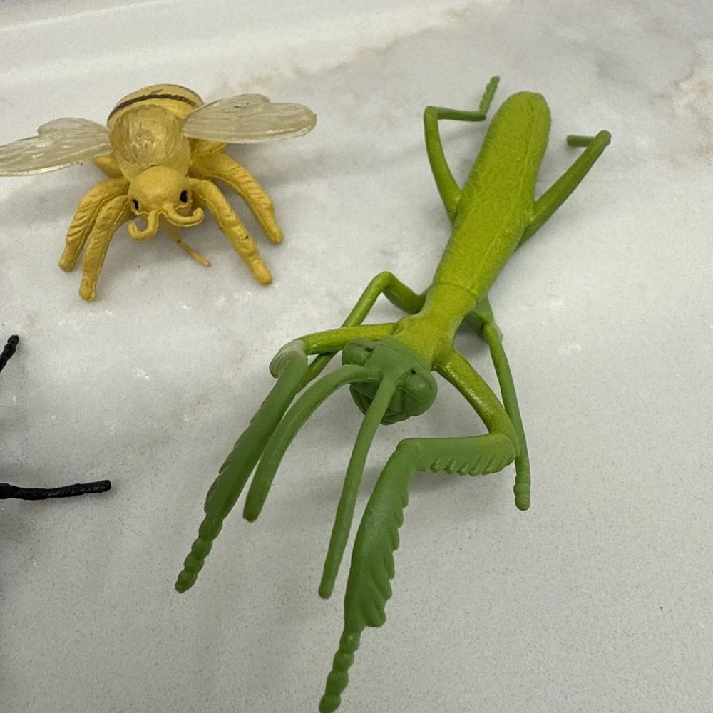 Safari Ltd Bugs Insects 2
